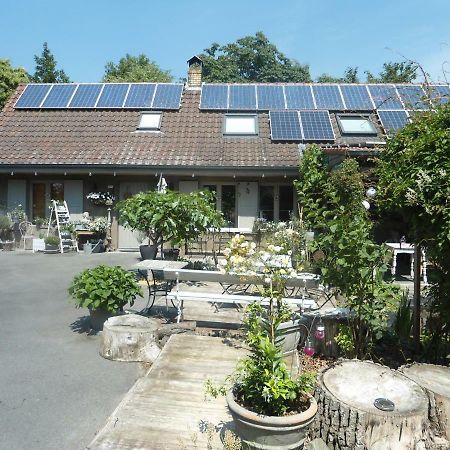 Passe-Partout Oedelem Exteriér fotografie